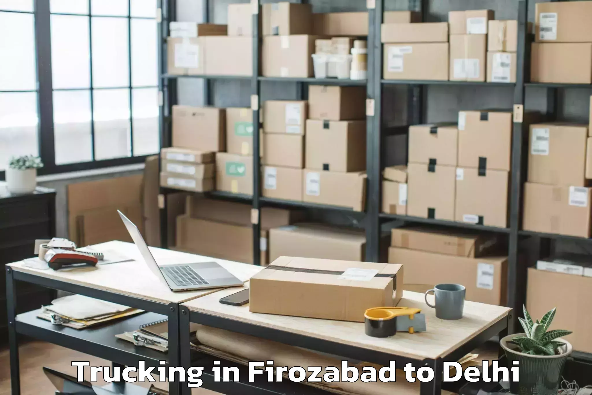 Professional Firozabad to East Delhi Trucking